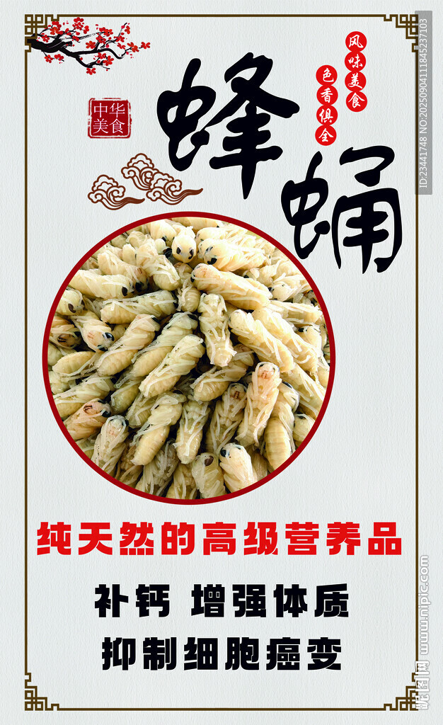  蜂蛹  