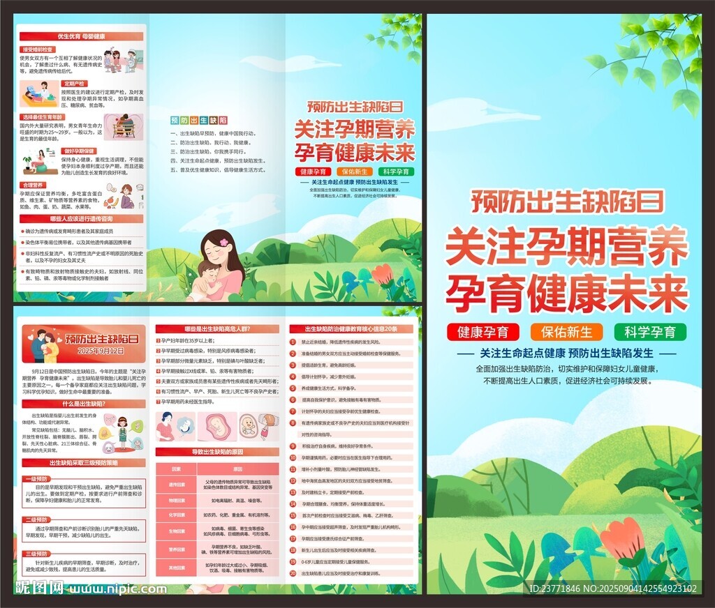 2025年预防出生缺陷日三折页