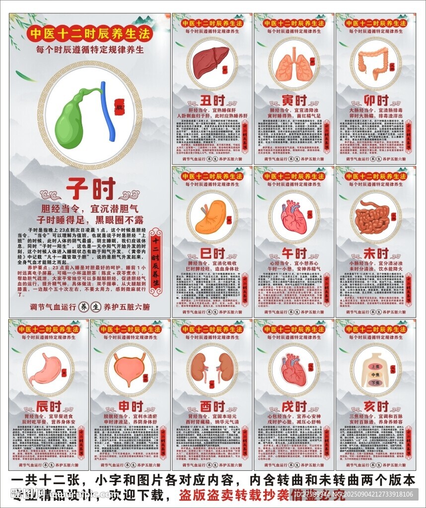 中医经络十二时辰养生法海报展板