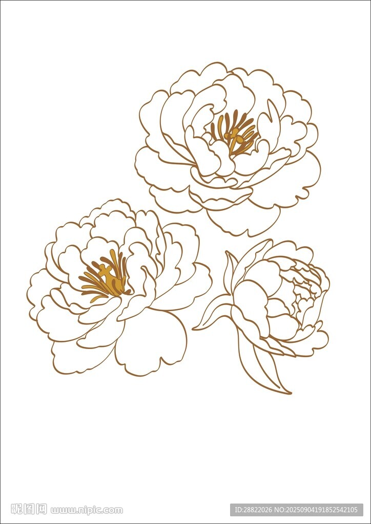 金色线条勾勒的牡丹花