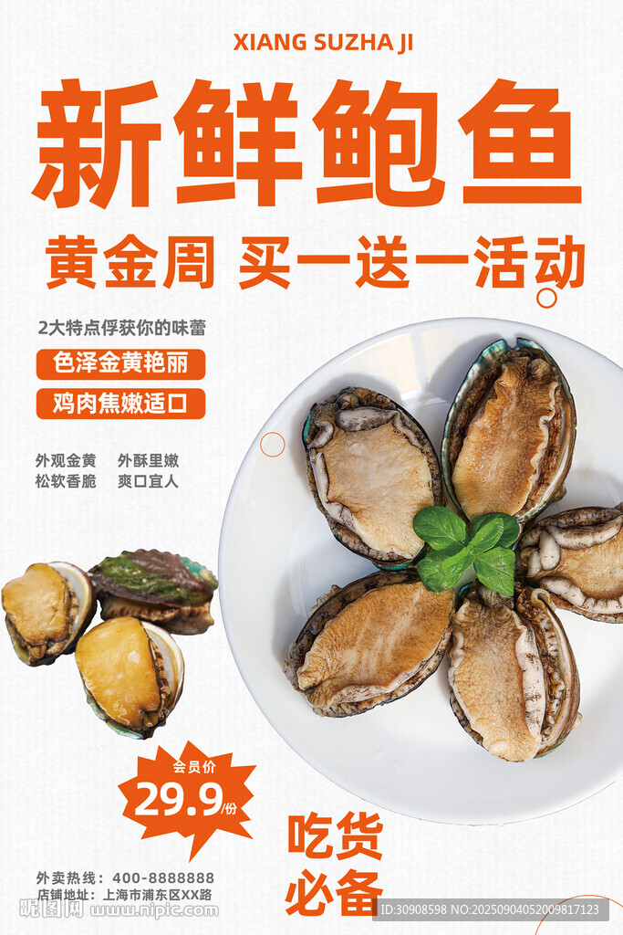 鲍鱼