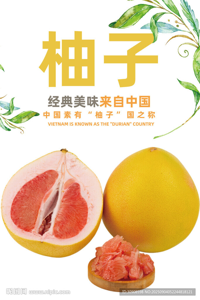 柚子