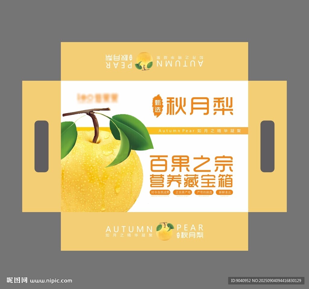 秋月梨包装盒设计展示
