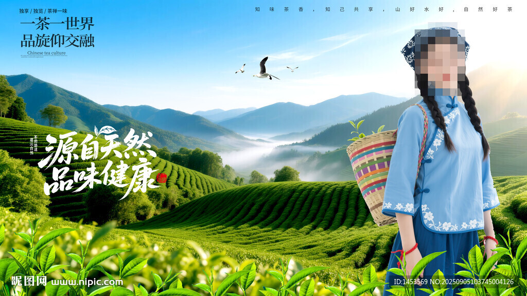 采茶女