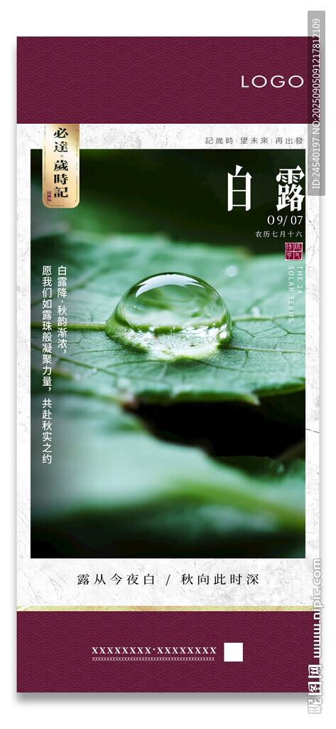 白露海报