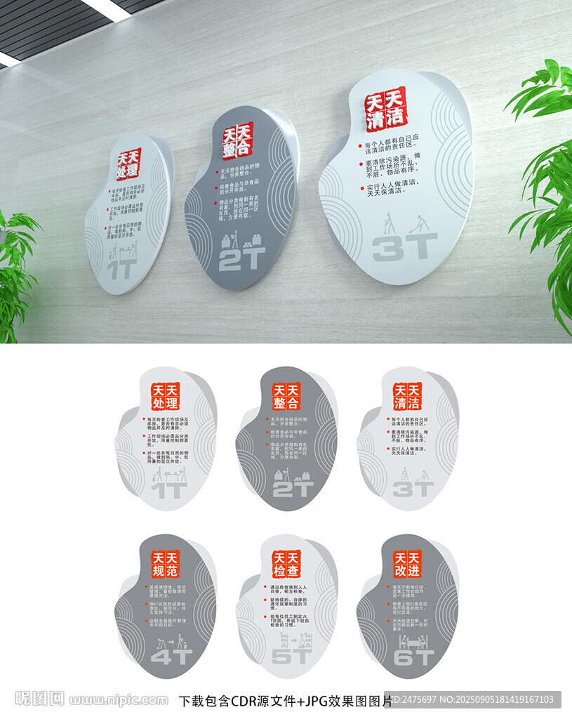 6T管理