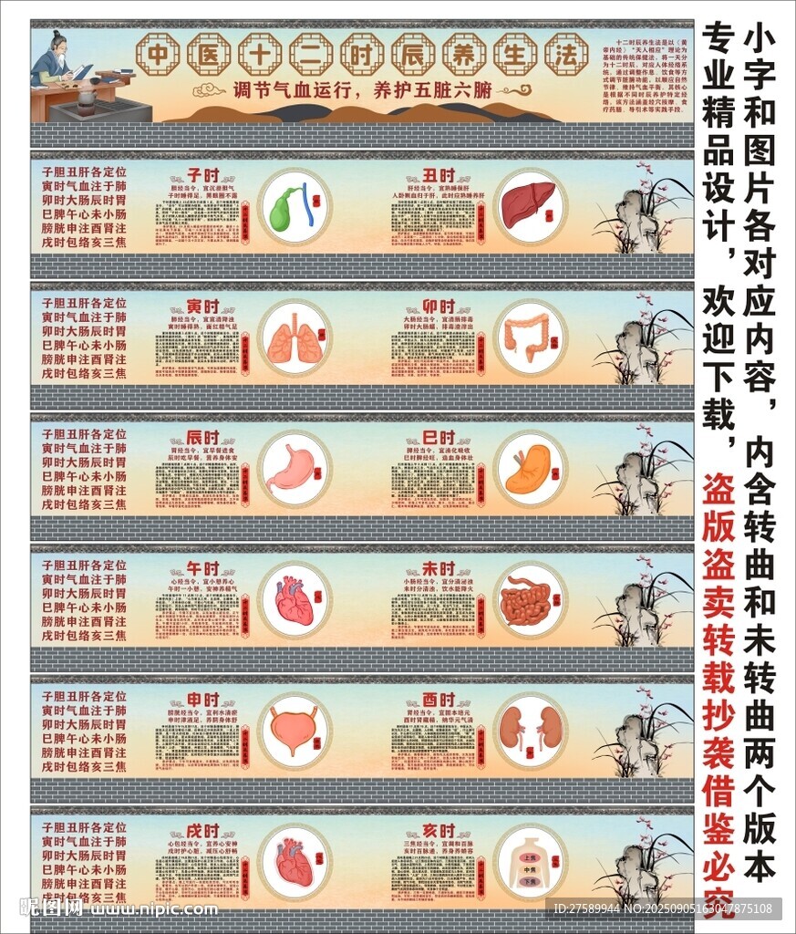 中医经络十二时辰养生法海报展板