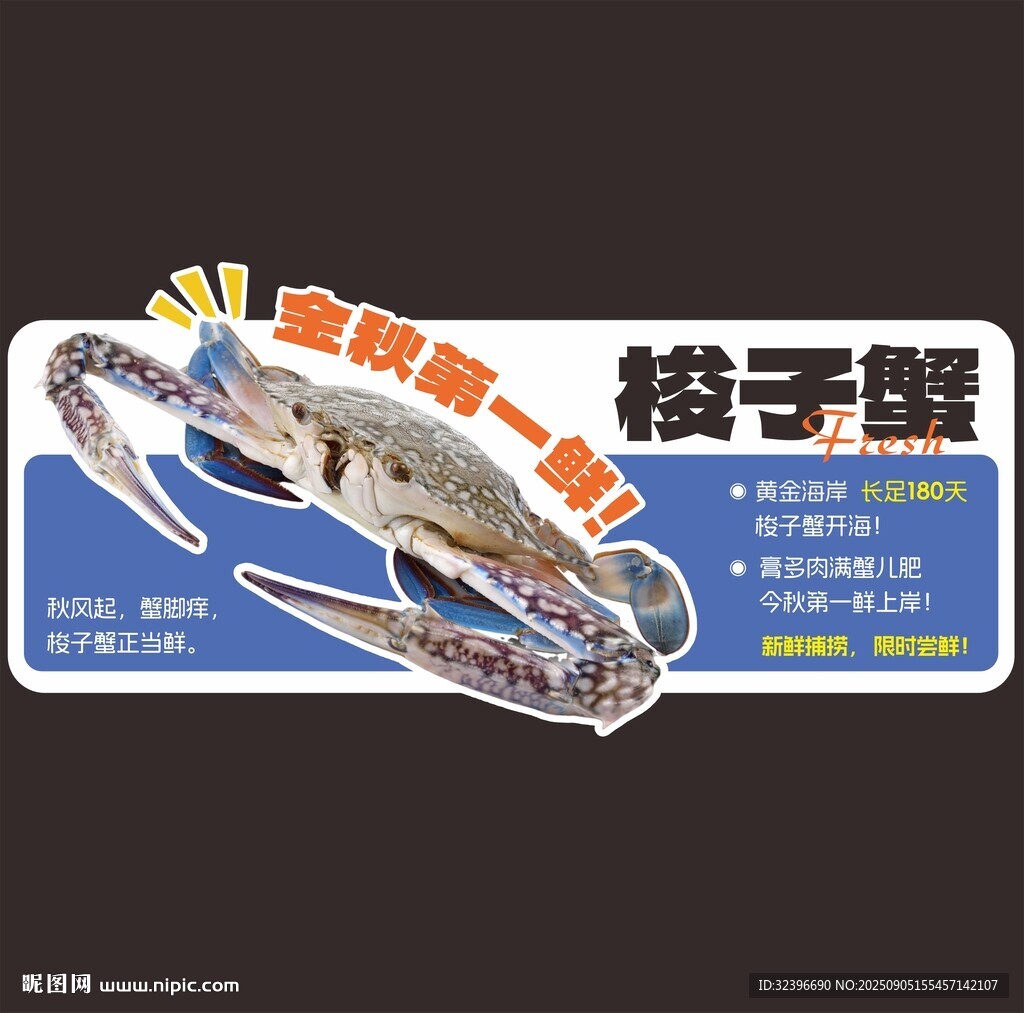 梭子蟹