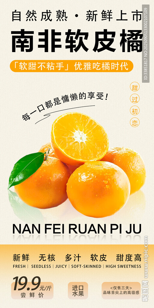 南非软皮橘 