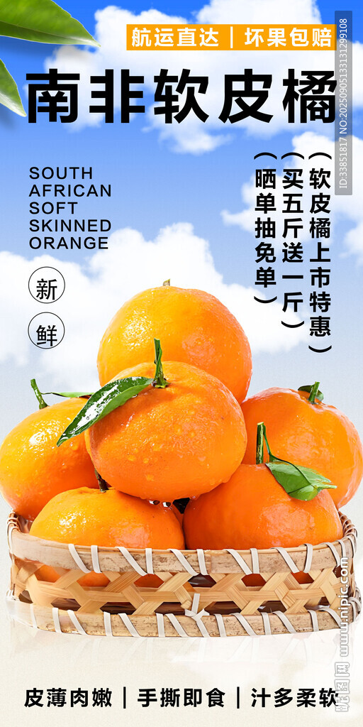 南非软皮橘 