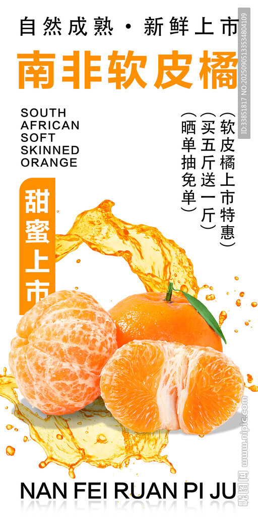 南非软皮橘 