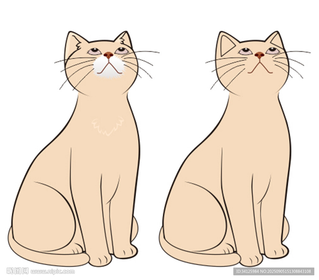 两只坐姿相同的米色猫咪