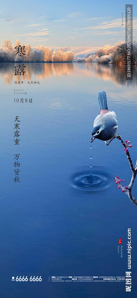 寒露  