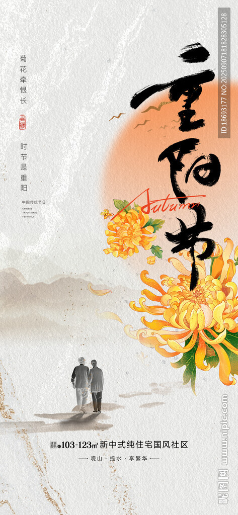 重阳节  