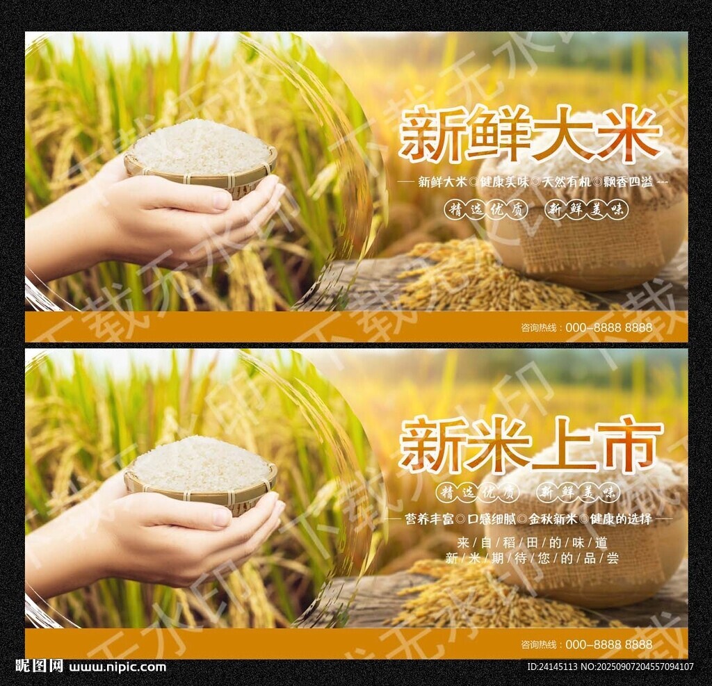 大米