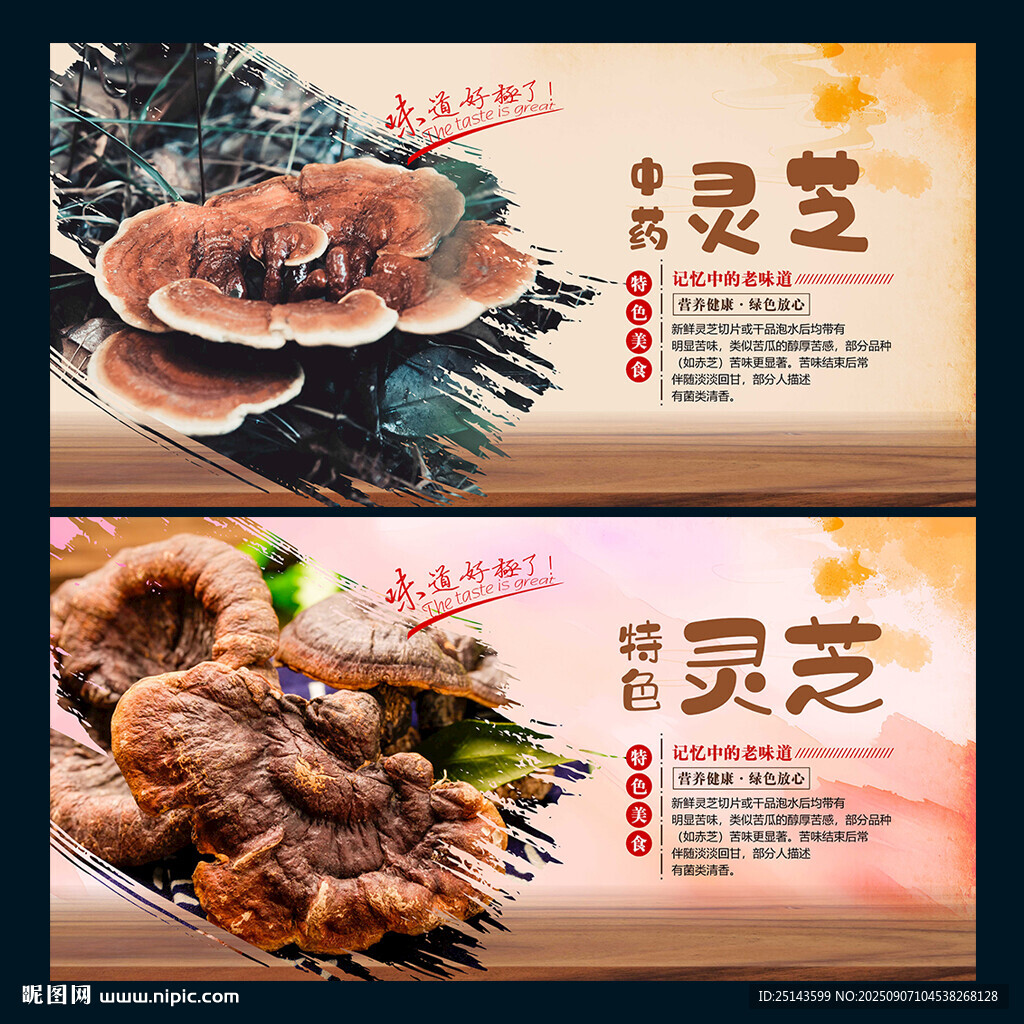 灵芝
