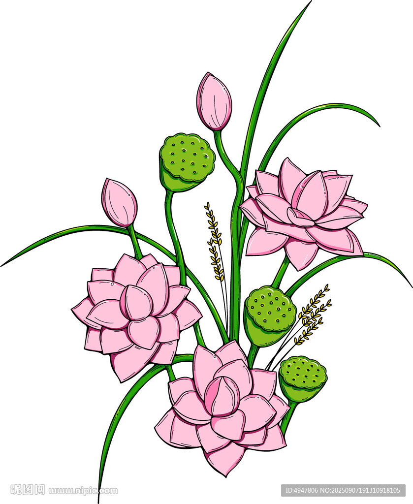 粉色荷花插画 矢量图