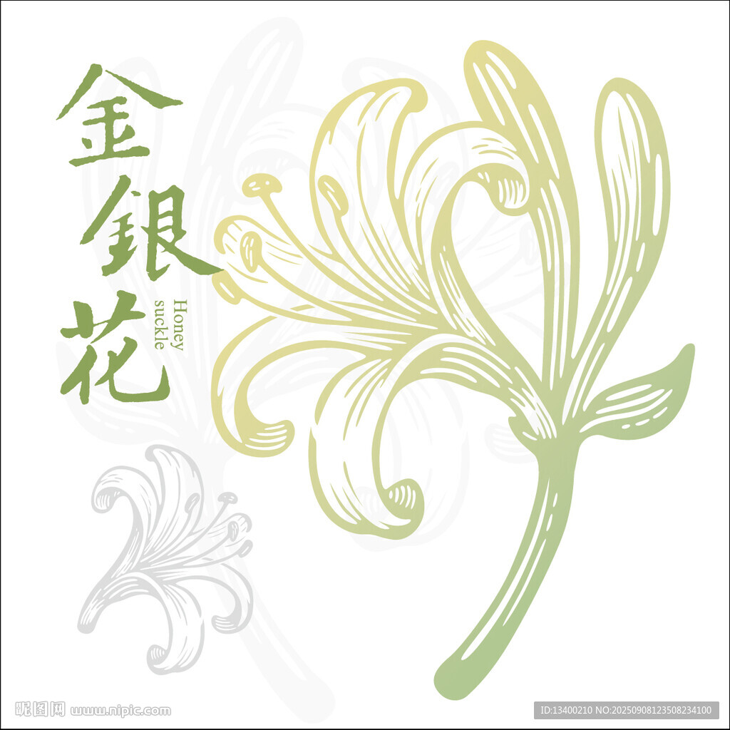 手绘金银花图案设计