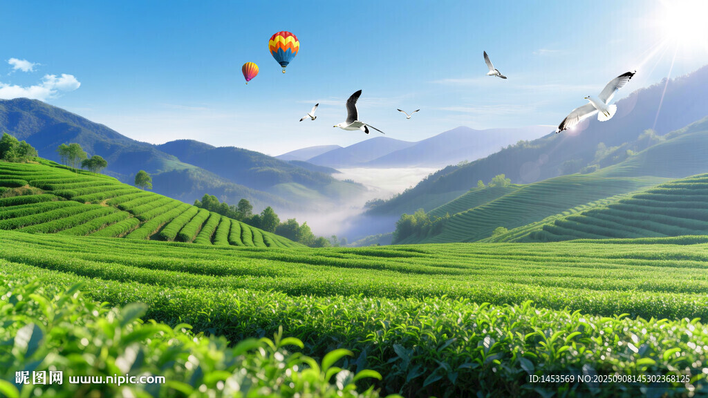 茶山