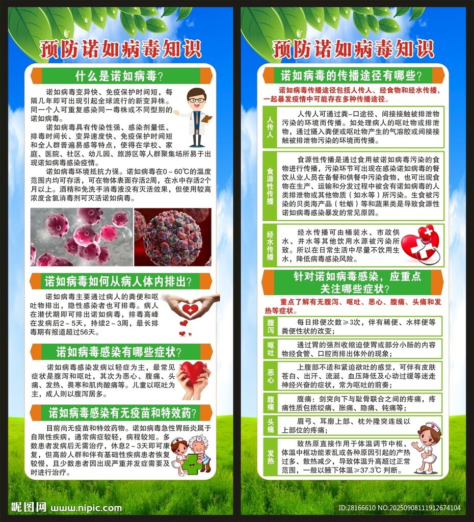 健康教育知识展架