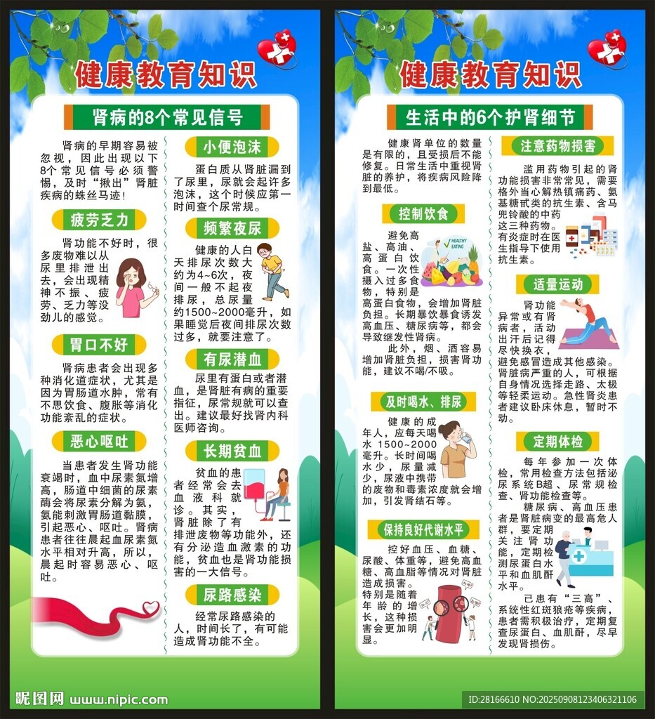 世界肾脏日展架