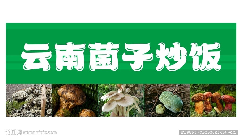 菌子炒饭