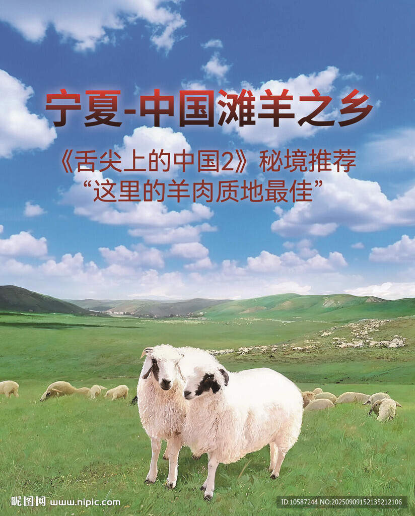 滩羊海报背景