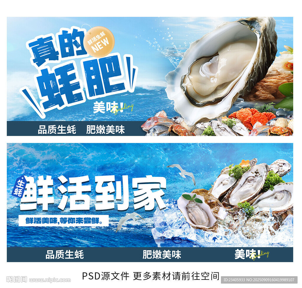 生蚝