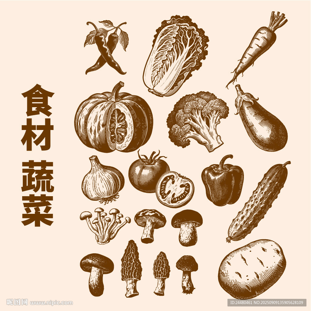 食材蔬菜手绘插画集合