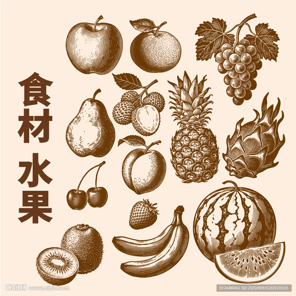 手绘食材水果集合图