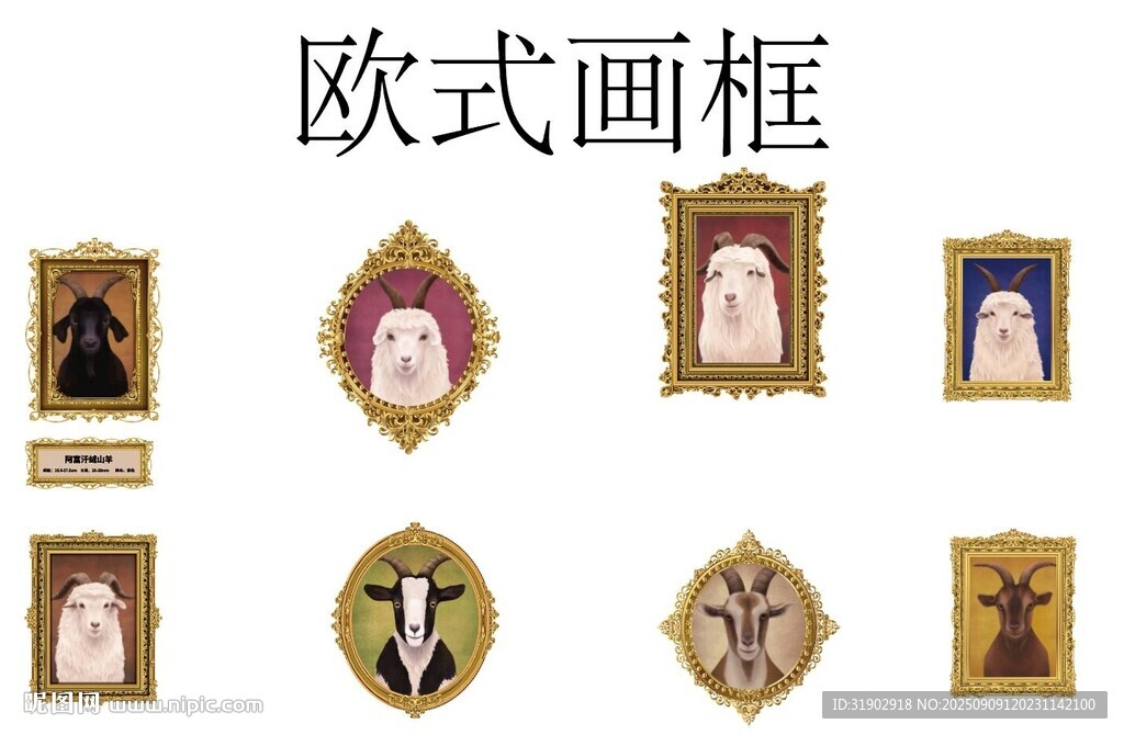 欧式精美画框展示