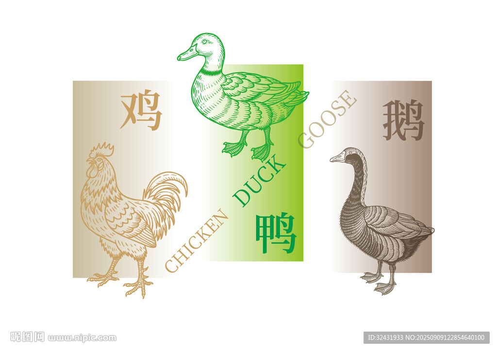 鸡鹅鸭动物图案插画