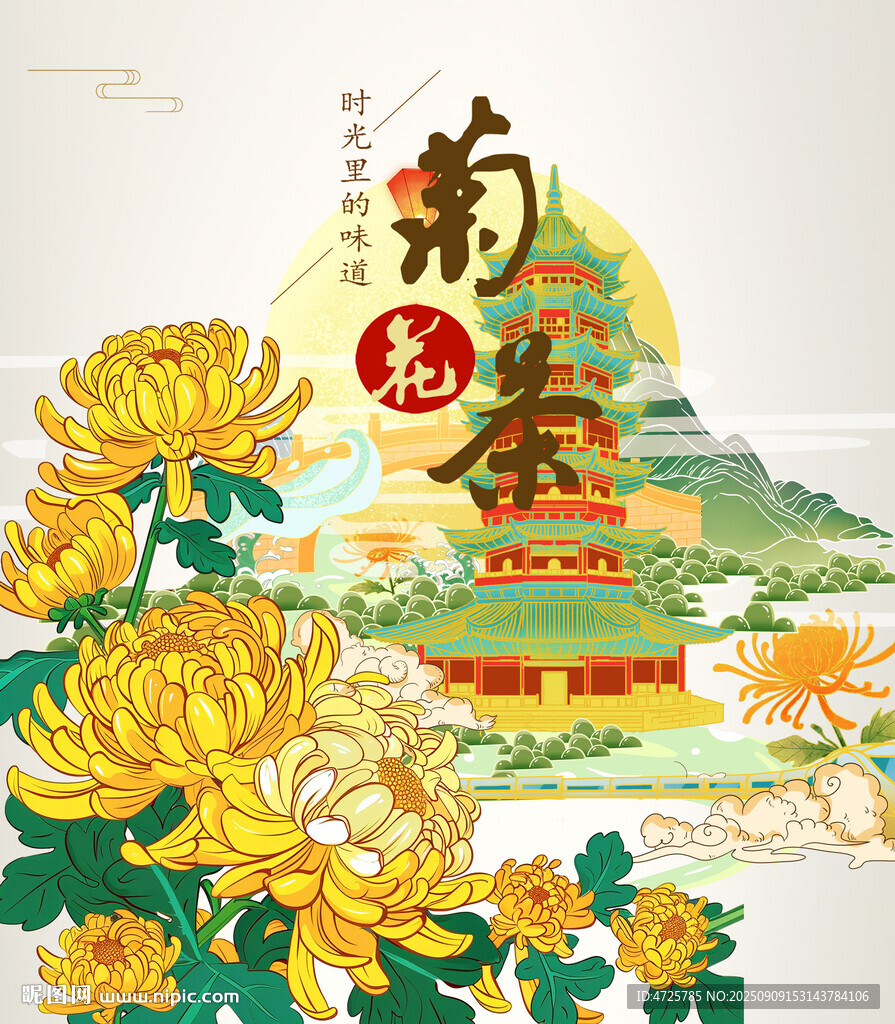 菊花茶包装