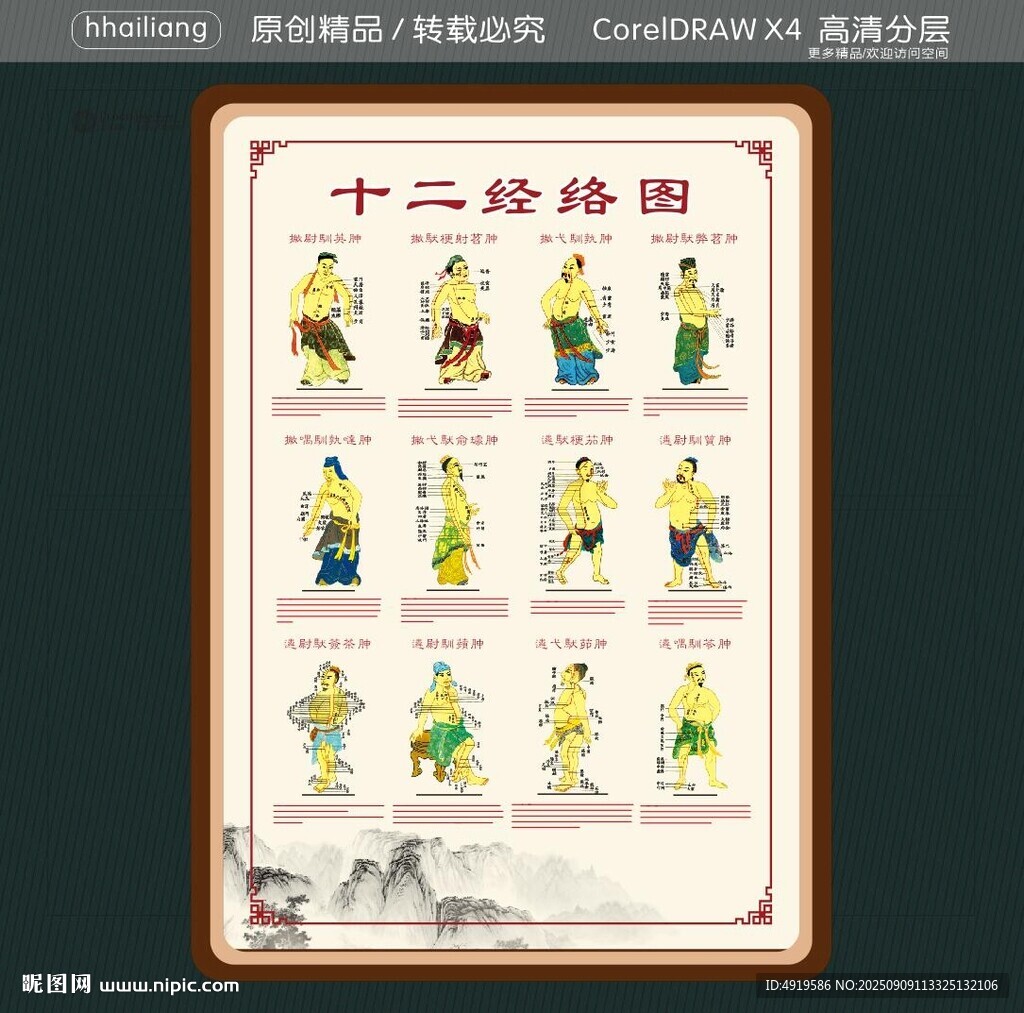 十二经络图