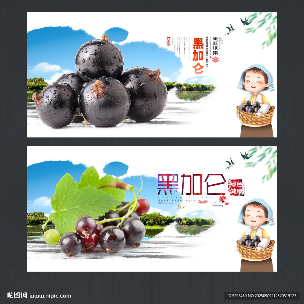 黑加仑