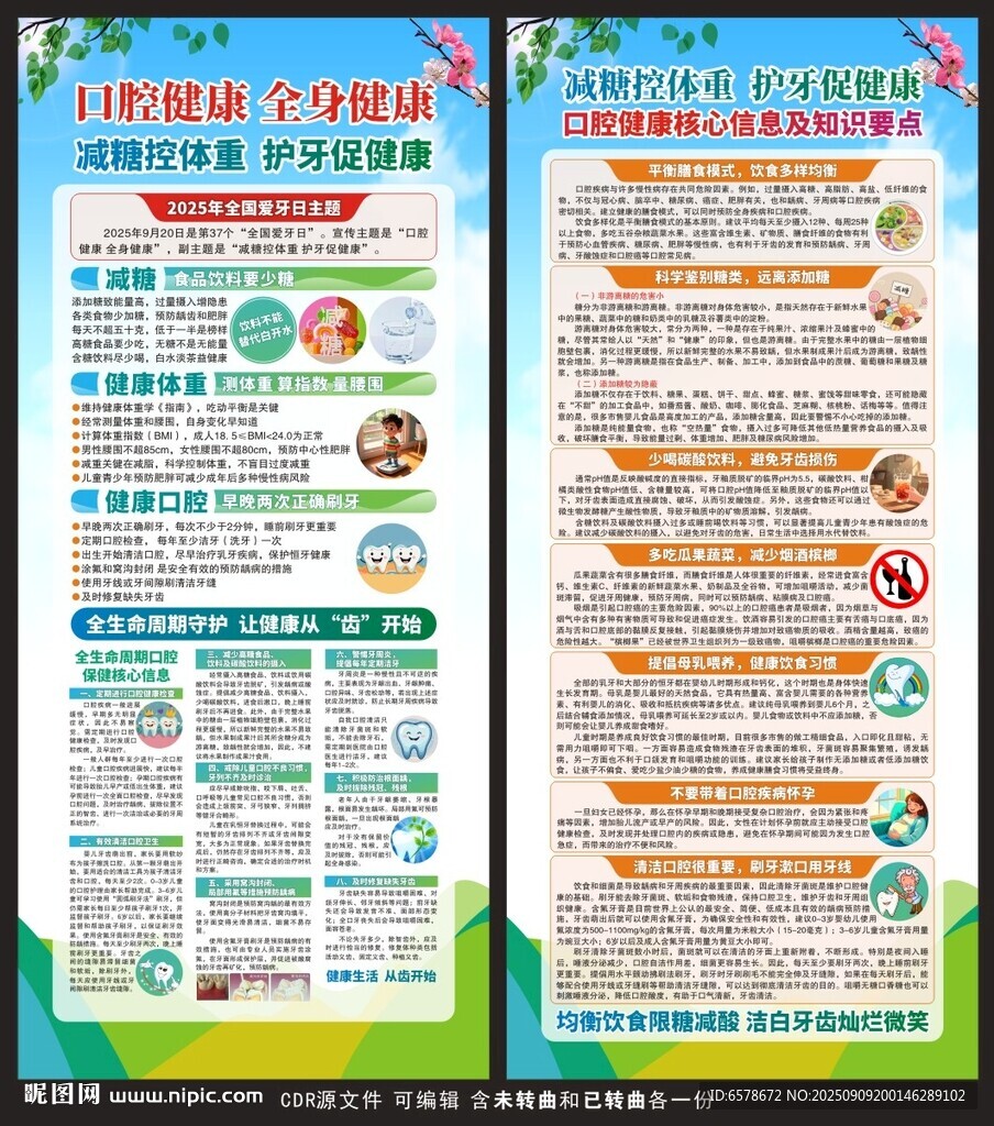 全国爱牙日展架