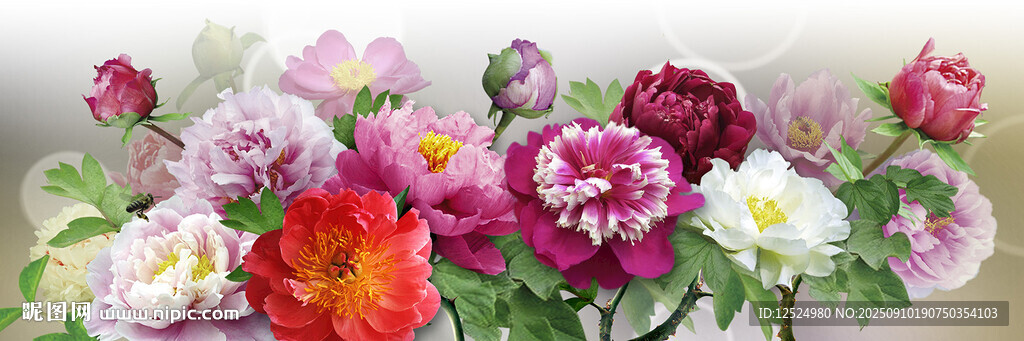 牡丹花装饰画