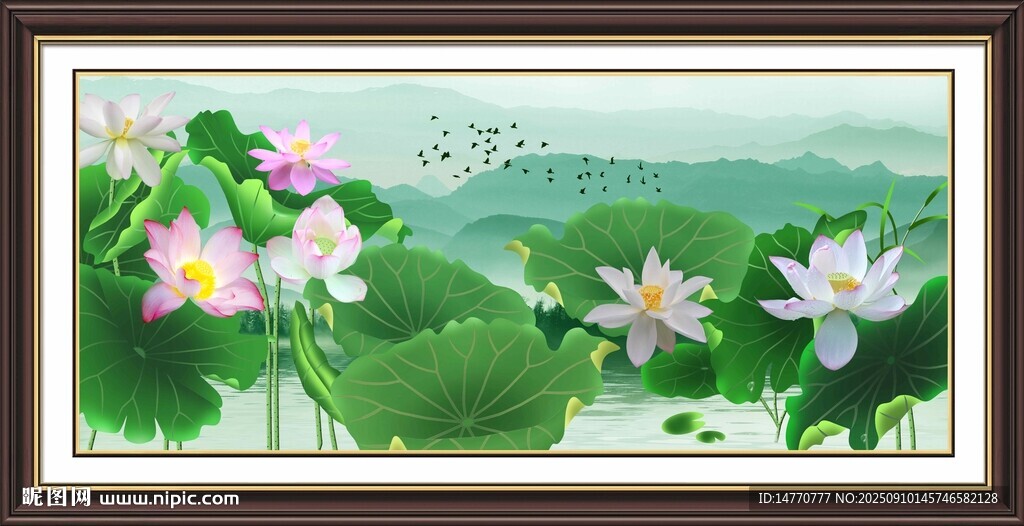 荷花图