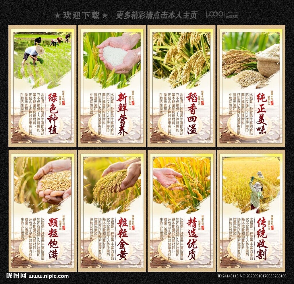 水稻