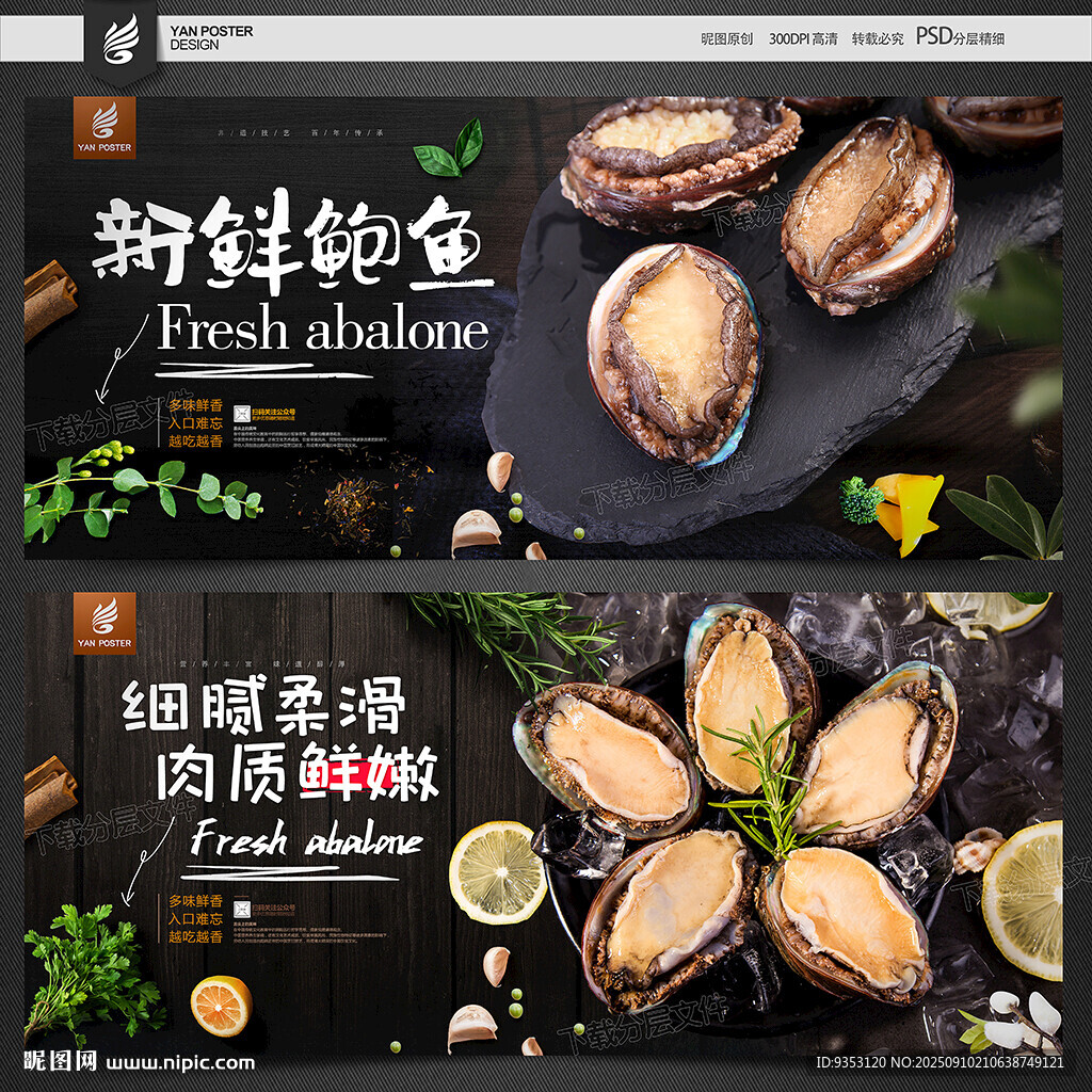 鲍鱼