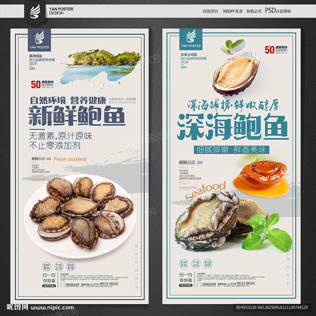 鲍鱼