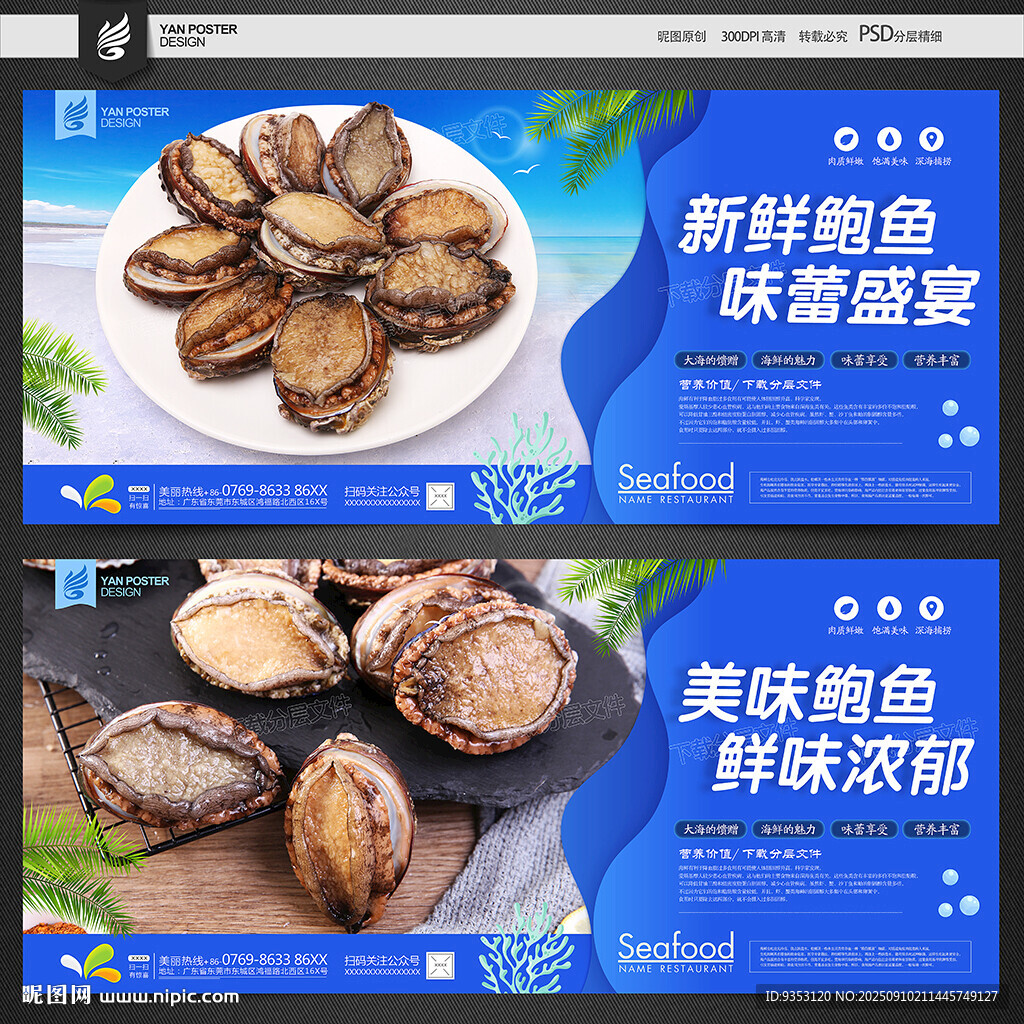 新鲜鲍鱼