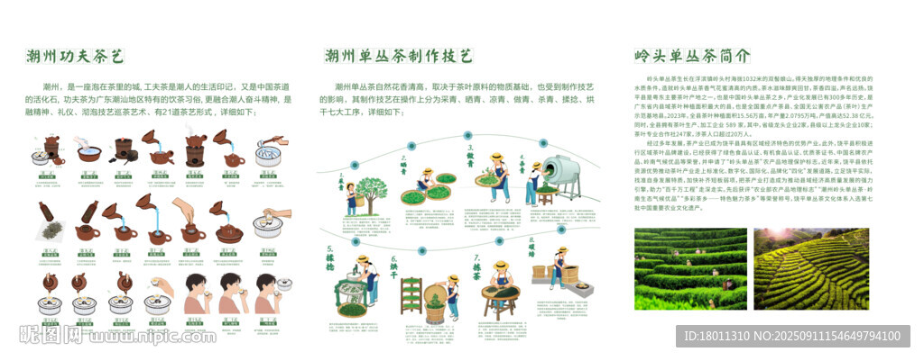 多样凤凰单丛茶茶叶展示图