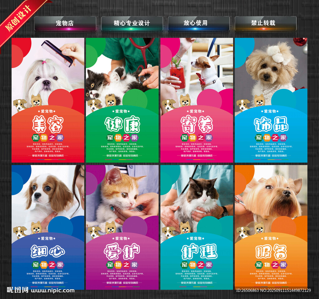宠物店