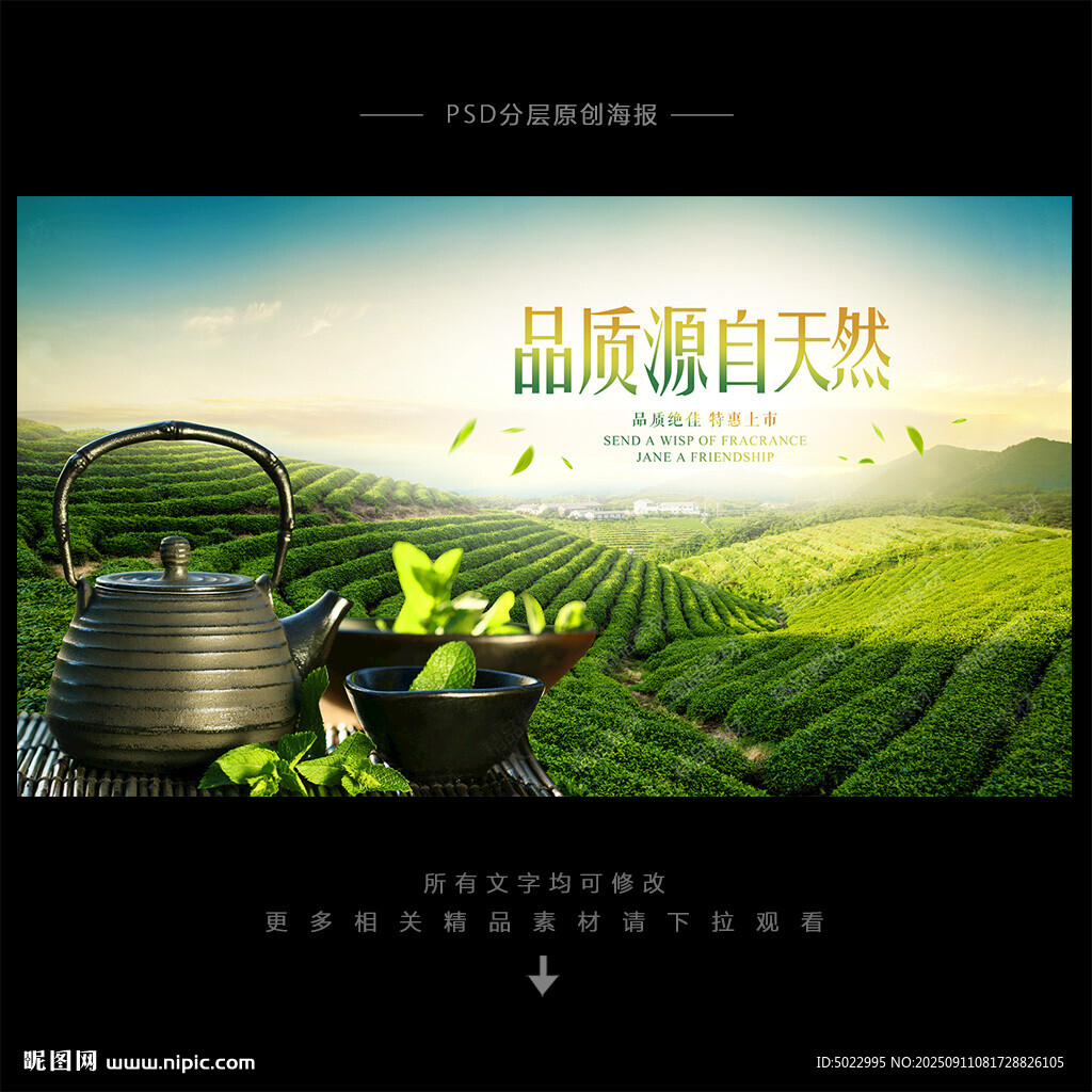 茶叶海报