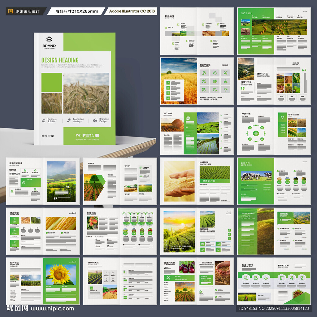 农产品画册
