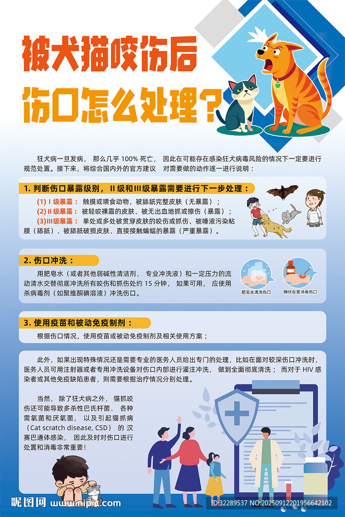 被犬猫咬伤后伤口怎么处理