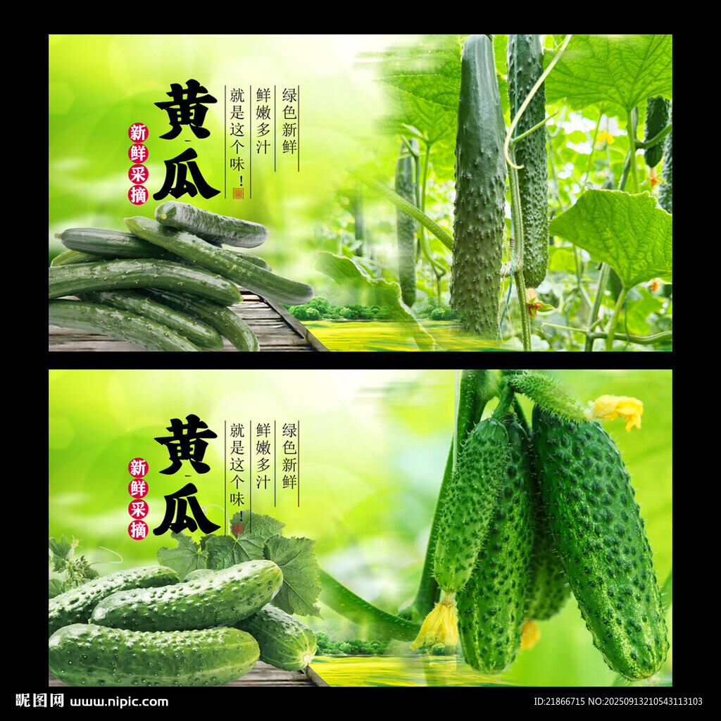 黄瓜