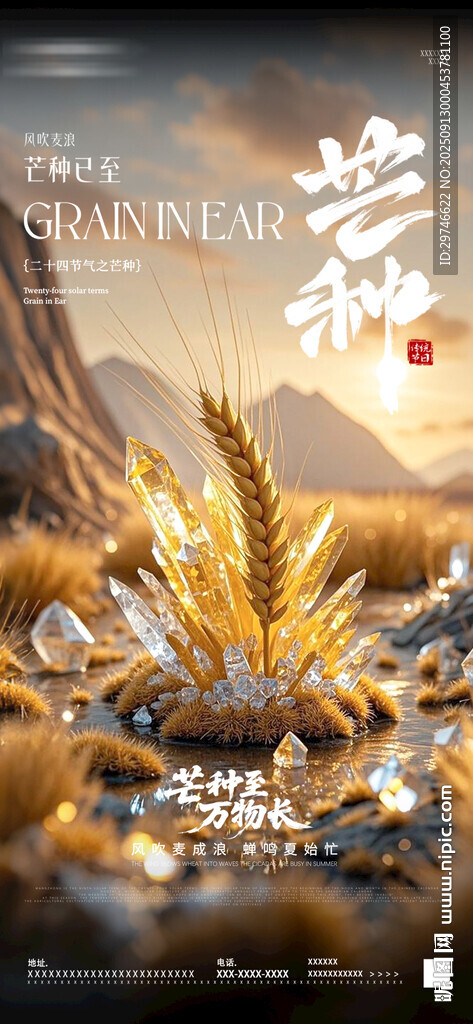 酒吧芒种