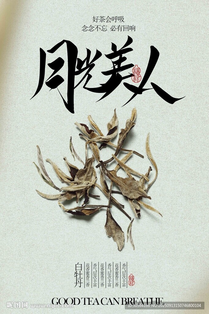 白牡丹白茶茶叶饮品海报